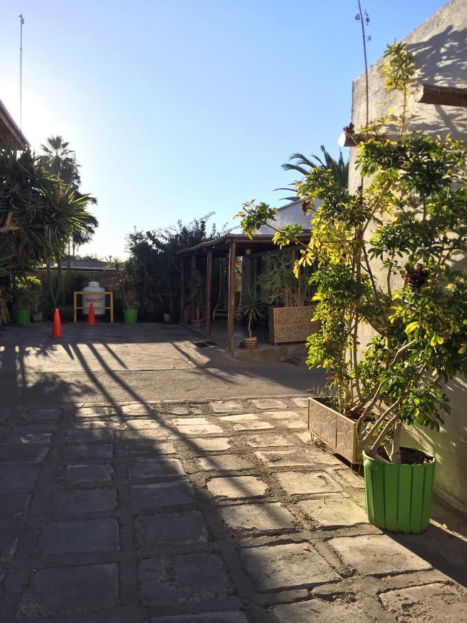 Oasis De Atacama Hotel Copiapó Exterior foto