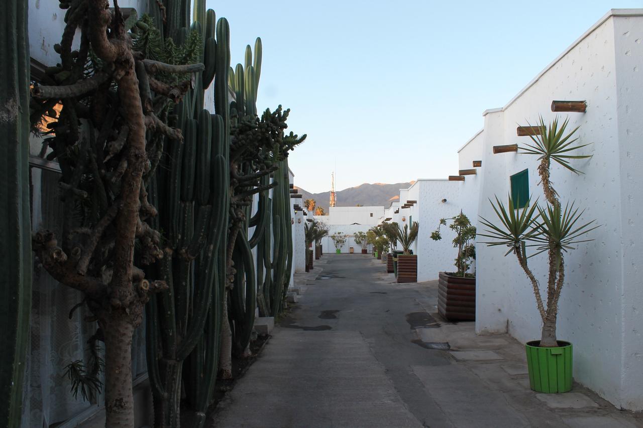 Oasis De Atacama Hotel Copiapó Exterior foto